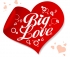 Big love sticker